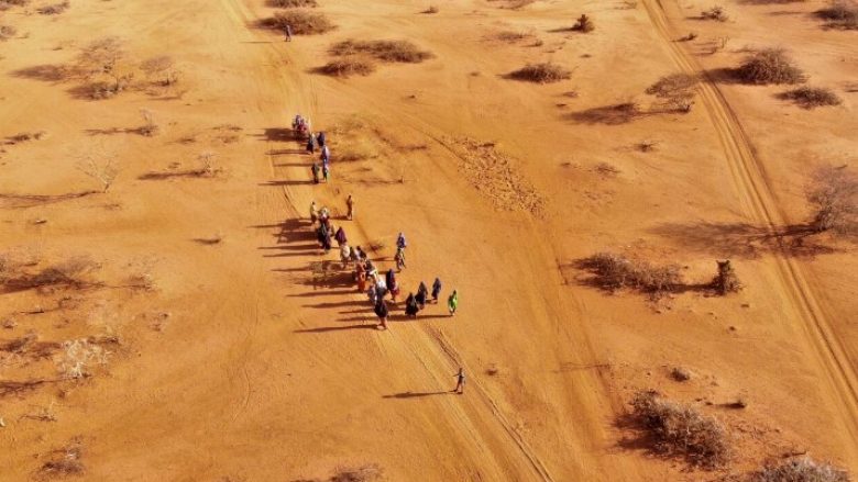 Nga thatësira në Somali mund të kenë vdekur 43,000 – thotë OKB